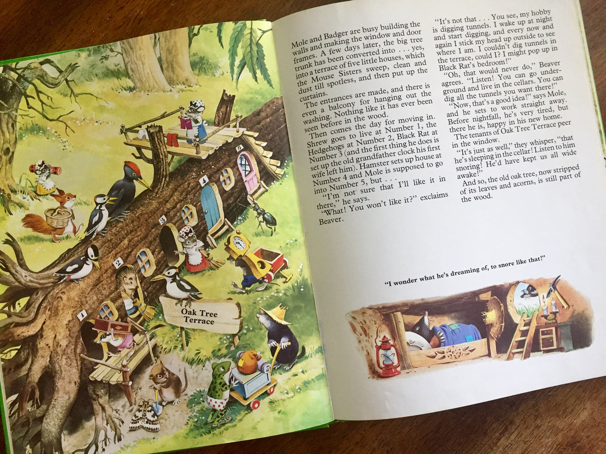 Vintage Children's Picture Story Book ~ The Woodland Folk Meet The - Ruby  Lane