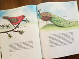 Birds of the World by Polly Greenberg, Illustrated by Philip Rymer, Vintage 1983, Hardcover Book