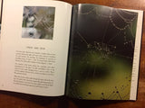 A Drop of Water: A Book of Science and Wonder by Walter Wick, Hardcover Book with Dust Jacket in Mylar, Phot Illustrations