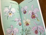 Orchids, A Golden Nature Guide, Vintage 1989