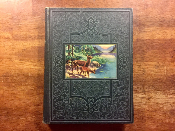 Our Wonder World, A Library of Knowledge: The Nature Book (Volume 3), Vintage 1930, Hardcover Book, Illustrated