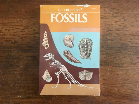 Fossils, A Golden Guide, Vintage 1962, Golden Press, PB, Paleontology