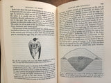 Biology of Birds, by Wesley E Lanyon, Natural History Press, Vintage 1963