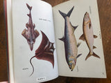 Marine Game Fishes of the World by Francesca La Monte, Illustrated by Janet Roemhild, Vintage 1952, Hardcover Book
