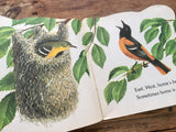 The Nest Book, Kathleen N. Daly, Illustrated by Jan Pfloog, Golden Shape, Nature