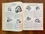 The Book of Shells: Great Outdoors by Lula Seikman, Illustrated by Elsie Malone