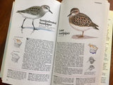 Book of North American Birds, Reader's Digest, Hardcover Book with Dust Jacket