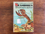 Seashores, A Golden Nature Guide, Vintage 1955