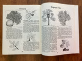 Dictionary of Trees: Florida and Sub-Tropical by Fred Walden, Vintage 1963
