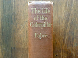 The Life of the Caterpillar by Jean Henri Fabre, Antique 1916, Hardcover Book