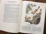 Imperial Collection of Audubon Animals, Vintage 1967, Quadrupeds of North America
