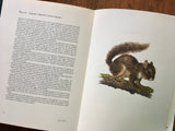 Studies of Birds and Mammals of South America, Illustrated by Axel Amuchastegui, Vintage 1967, Hardcover Book with Dust Jacket