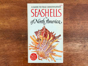 Seashells of North America: A Guide to Field Identification, A Golden Field Guide, Vintage 1968, Profusely Illustrated
