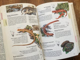 Reader's Digest North American Wildlife, Vintage 1982, Hardcover Book with Dust Jacket, Illustrated
