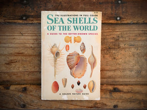 Sea Shells of the World, Golden Nature Guide, PB, Illustrated, Reference