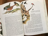 World of Birds, New and Revised Edition, by James Fisher and Roger Tory Peterson, 192 Full Color Plates, Vintage 1970s