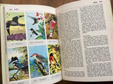 Audubon Nature Encyclopedia, Volume 2, Vintage 1973, Hardcover, Illustrated