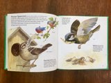 Cardinals, Robins, and Other Birds, Golden Junior Guide, Vintage 1993, HC