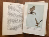 The Burgess Bird Book for Children by Thornton W. Burgess, Antique 1923