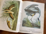 The Birds of America by John James Audubon, Vintage 1977, Hardcover Book with Dust Jacket, Illustrated