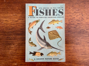 Fishes, A Golden Nature Guide, Vintage 1955, Paperback