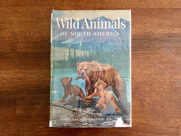 Wild Animals of North America, National Geographic Society, Vintage 1960