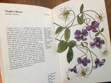 A Color Guide to Familiar Flowering Shrubs, by J. Pokorny, Illustrated by J. Kaplicka, Vintage 1975, Hardcover Book with Dust Jacket