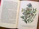 Wild Flowers in Britain by Geoffrey Grigson, Vintage 1947, Hardcover Book, Illustrated