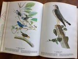 The Birds of America by John James Audubon, Vintage 1977, Hardcover Book with Dust Jacket, Illustrated