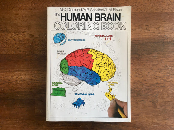 The Human Brain Coloring Book by Diamond, Scheibel, Elson, Vintage 1985