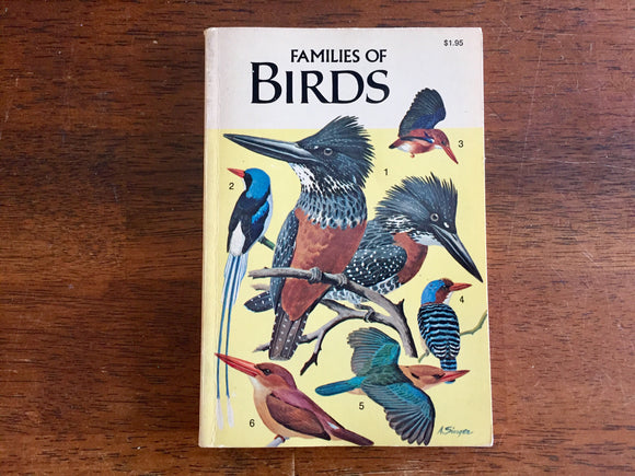Families of Birds, A Golden Guide, Vintage 1971