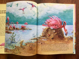 Mud City: A Flamingo Story by Brenda Z. Guiberson, HC DJ, 2005, 1st
