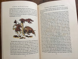 The Singular Adventures of Baron Munchausen: A Definitive Text, Fritz Kredel Illustrated, heritage press