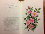 Beautiful Wildflowers edited by Bette Bishop, 20 Watercolor Illustrations by Nanae Ito, Vintage 1968, Hardcover with Dust Jacket,