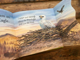Whose Nest?, Illustrated by Guy Troughton, Nature Picture Book