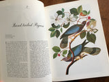 Audubon’s Birds of America, Paperback, Vintage 1979