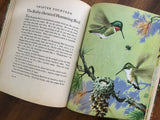 . Birds at Home, Marguerite Henry, Jacob Bates Abbott, Illustrated, Vintage 1942