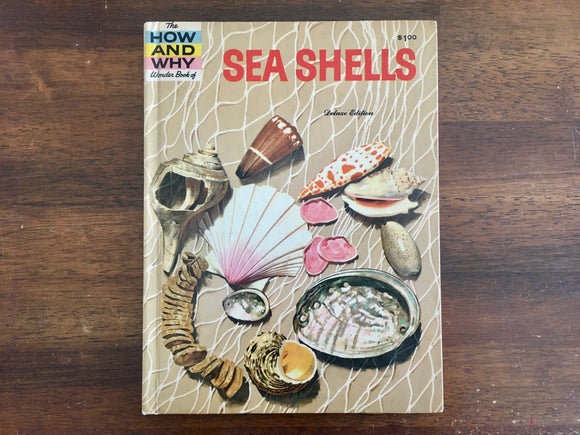 The How and Why Wonder Book of Sea Shells, Deluxe Edition, Vintage 1961
