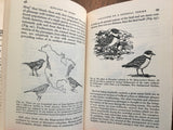 Biology of Birds, by Wesley E Lanyon, Natural History Press, Vintage 1963
