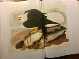 John James Audubon, Margot Keam Cleary, Oversized Hardcover Book