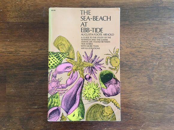 The Sea-Beach at Ebb-Tide by Augusta Foote Arnold, Vintage 1968