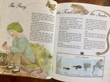Nicky the Nature Detective by Ulf Svedberg, Translated by Ingrid Selberg, Illustrated by Lena Anderson, Vintage 1991, Hardcover Book