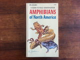 Amphibians of North America: A Guide to Field Identification, Golden Press, Vintage 1978
