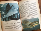 The Sea: The Strange Animals and Plants of the Oceans, Vintage 1958, Golden Library of Knowledge, Hardcover Book, Illustrated