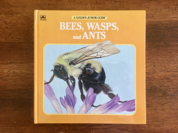 Bees, Wasps, and Ants, Golden Junior Guide, Vintage 1993, HC, Insects