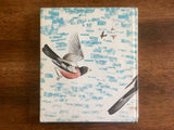 The First Book of Birds by Margaret Williamson, Vintage 1951, HC DJ