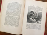 . Anne of Geierstein by Sir Walter Scott, Watch Weel Edition, Antique 1900, Illustrated