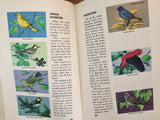How to Know the Birds: An Introduction to Bird Recognition, Written and Illustrated by Roger Tory Peterson, Vintage 1977, Hardcover Book