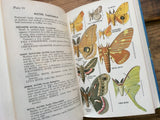 Insects of America North of Mexico, Peterson Field Guide, HC DJ, Nature Study