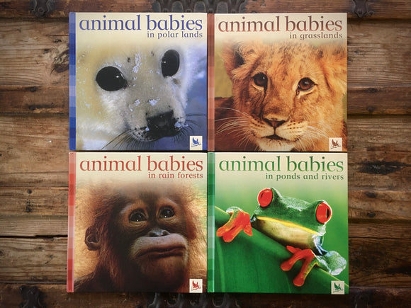 Animal Babies in Ponds and Rivers, Grasslands, Rain Forests, Polar Lands, HC